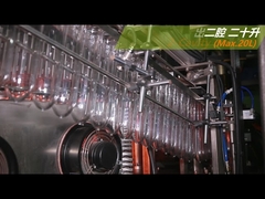 20L PET Bottle Blowing Machine 5500~5000BPH  2 Cavity